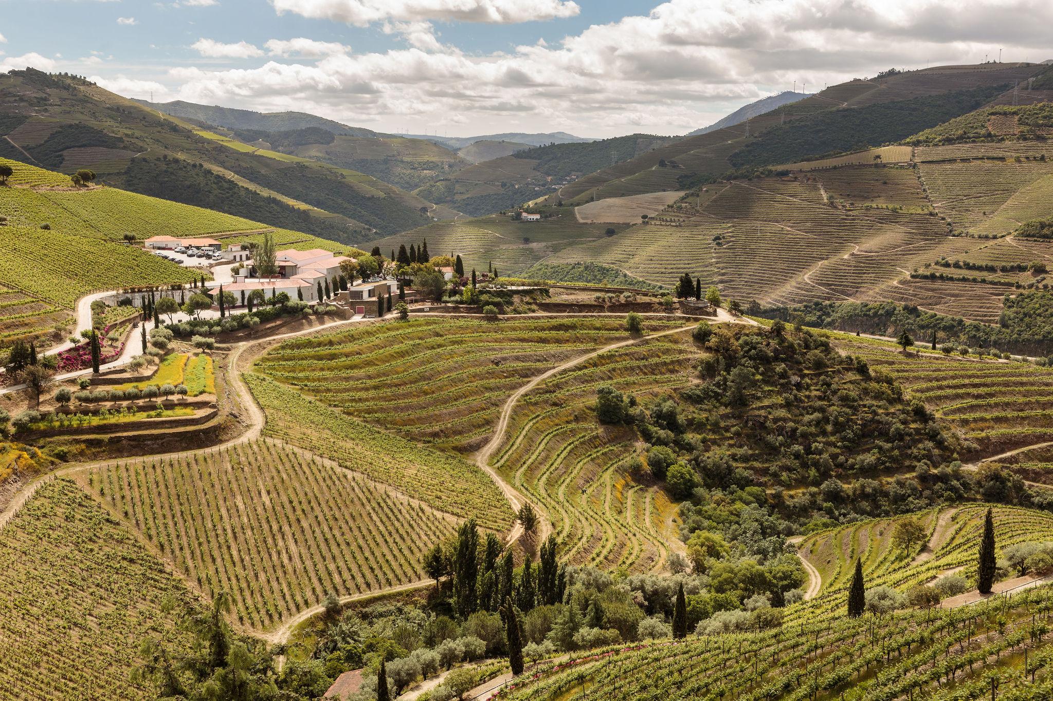 Quinta Nova Winery House - Relais & Chateaux 핀하오 외부 사진